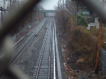 North on the Staten Island Railway from Grasmere